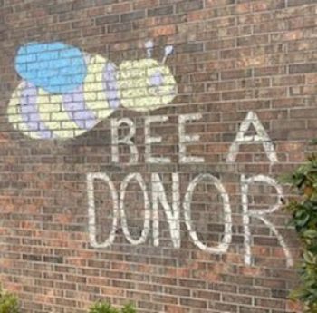 Bee a Donor! Artwork