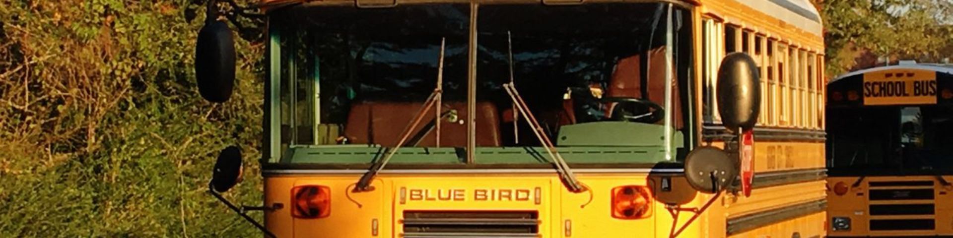 School bus